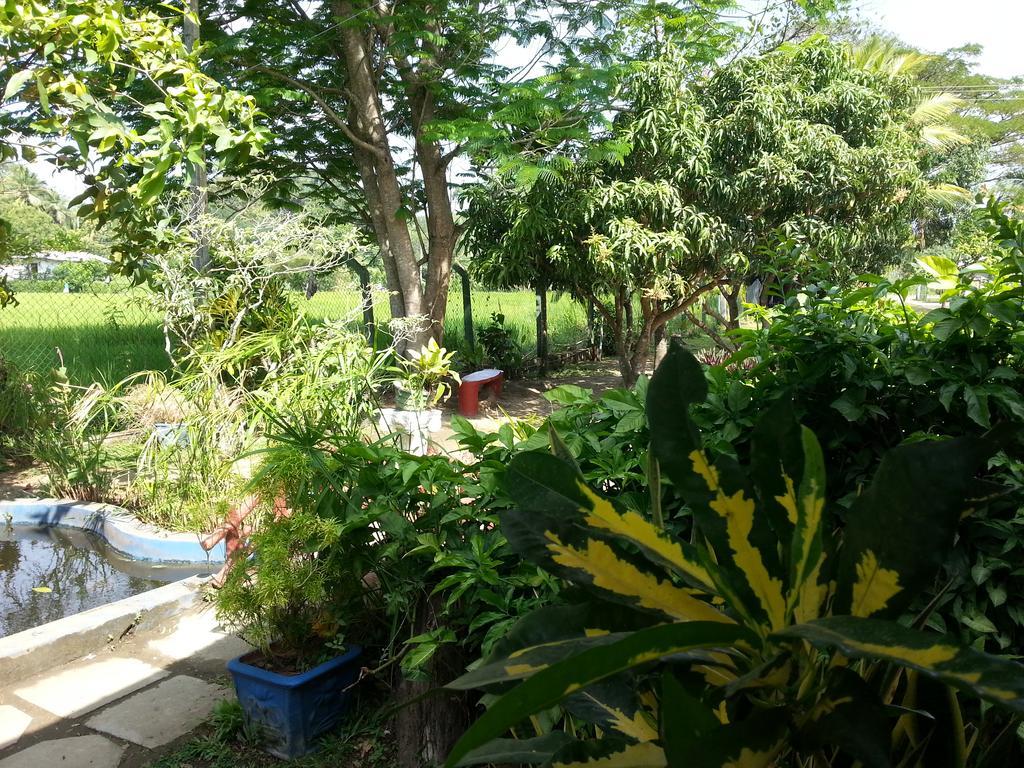 Hansika Guest Inn Buttala ภายนอก รูปภาพ