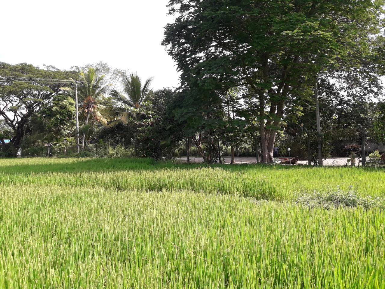 Hansika Guest Inn Buttala ภายนอก รูปภาพ